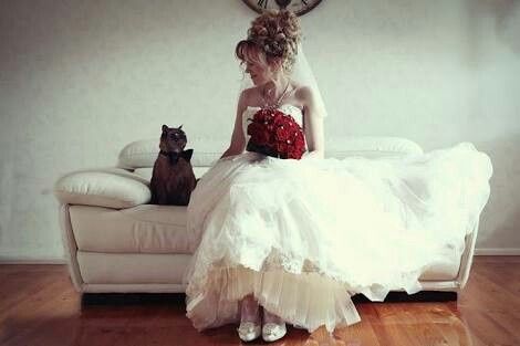 Fotos que te tienes que tomar si incluiras a tu mascota el dia de la boda - 7