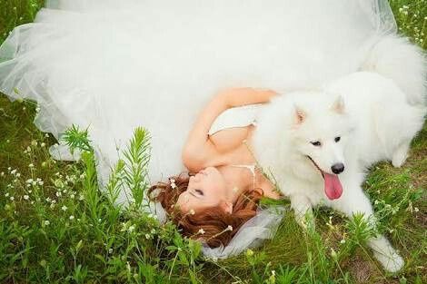 Fotos que te tienes que tomar si incluiras a tu mascota el dia de la boda - 9
