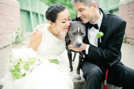 Fotos que te tienes que tomar si incluiras a tu mascota el dia de la boda - 12