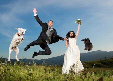 Fotos que te tienes que tomar si incluiras a tu mascota el dia de la boda - 15