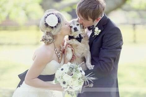 Fotos que te tienes que tomar si incluiras a tu mascota el dia de la boda - 17