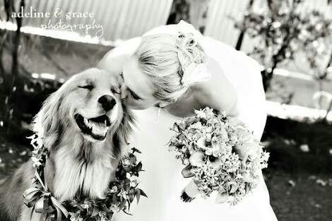 Fotos que te tienes que tomar si incluiras a tu mascota el dia de la boda - 18