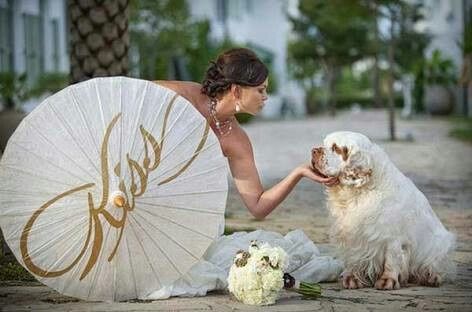 Fotos que te tienes que tomar si incluiras a tu mascota el dia de la boda - 19
