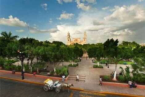 Nos vamos a yucatán - 6