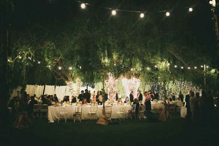 No pondremos carpa - 2