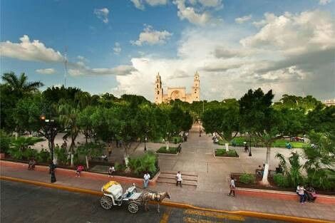 Nos vamos a yucatán - 6