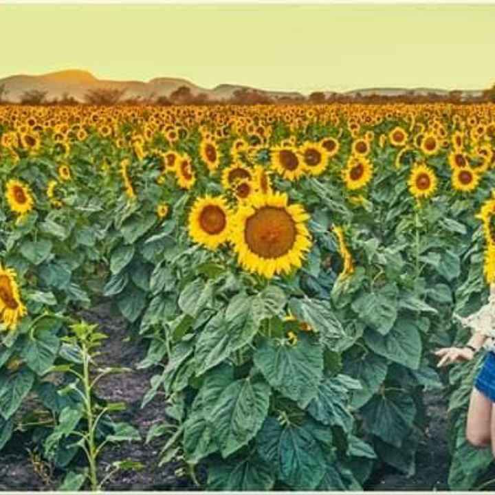 sesion de fotos en sinaloa - 5