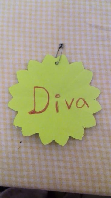 ¿qué darán de distintivos para su despedida de soltera? - 1