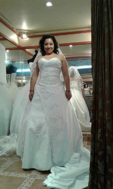 En un gran dilema!!! - 1