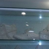 Mis zapatos-tenis - 1