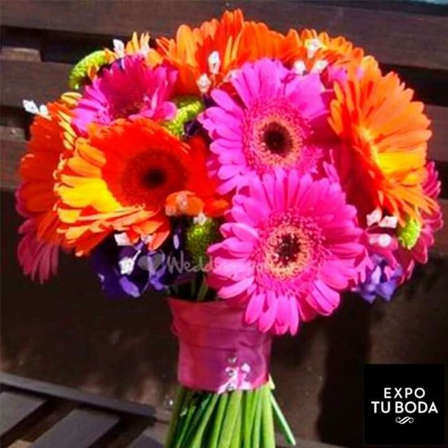 Ayuda con colores!! - 1