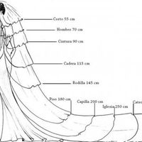 El largo del velo o matilla
