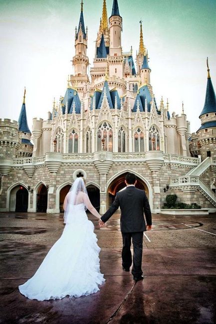 2. Walt Disney World Resort