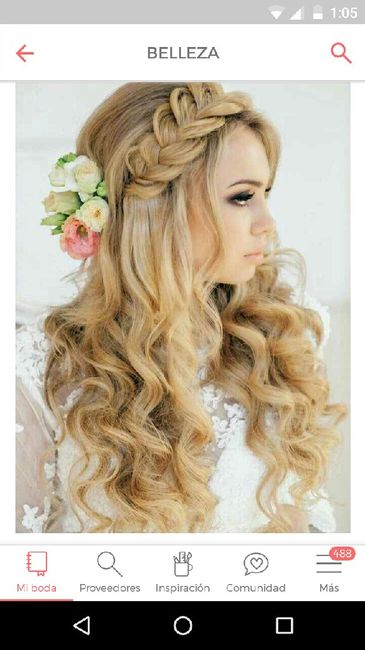 Hairstyles: trenzas - 1