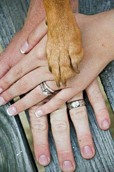 1. perrito