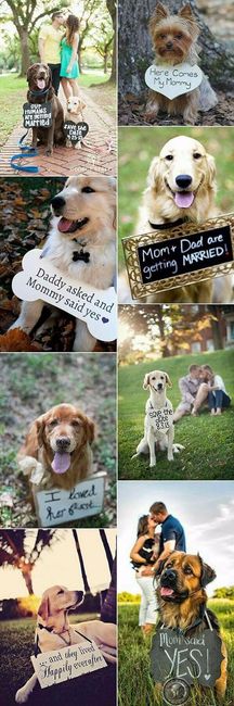 1. perrito