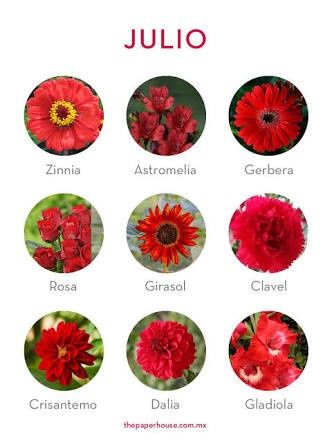 Sugerencias de colores para las flores 37