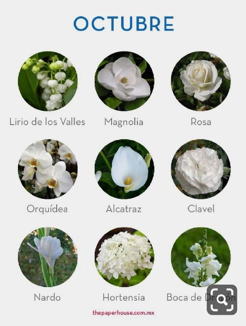 lluvia de ideas 7