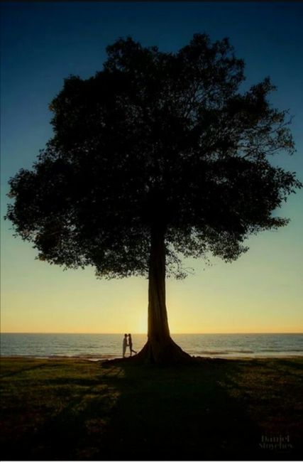  Necesito recomendaciones! - 1