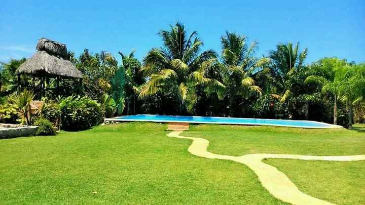 Les presento el jardín - 2