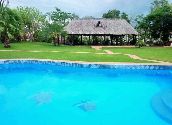 Les presento el jardín - 3