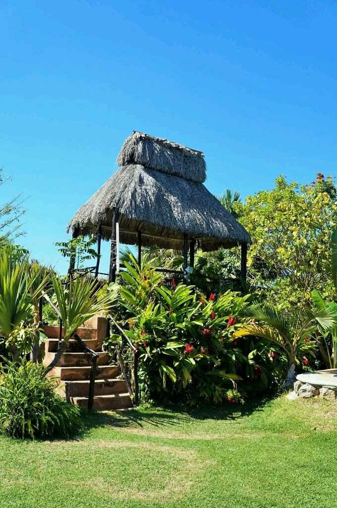 Les presento el jardín - 5