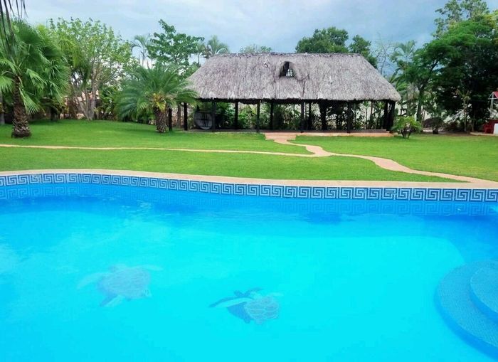 Les presento el jardín - 3