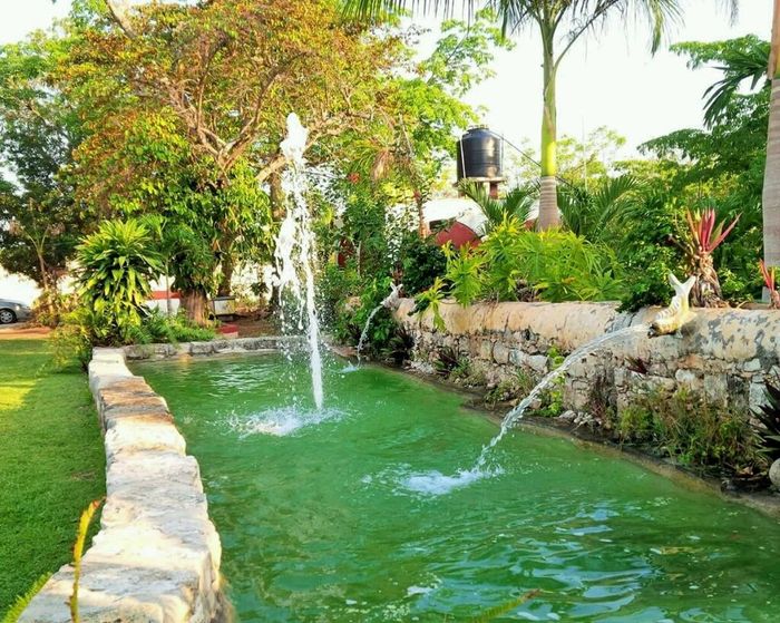 Les presento el jardín - 4
