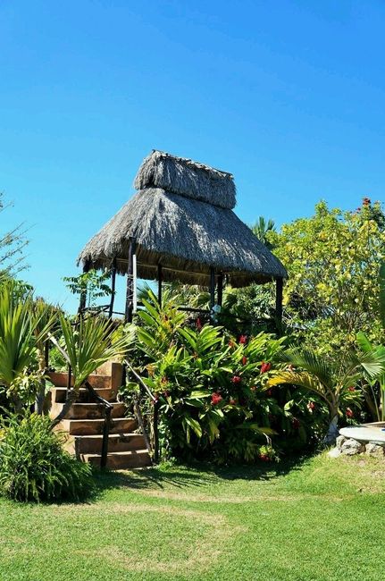 Les presento el jardín - 5