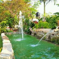 Les presento el jardín - 4