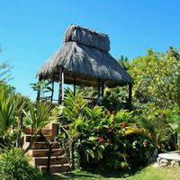Les presento el jardín - 5
