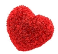 cojines con rosas