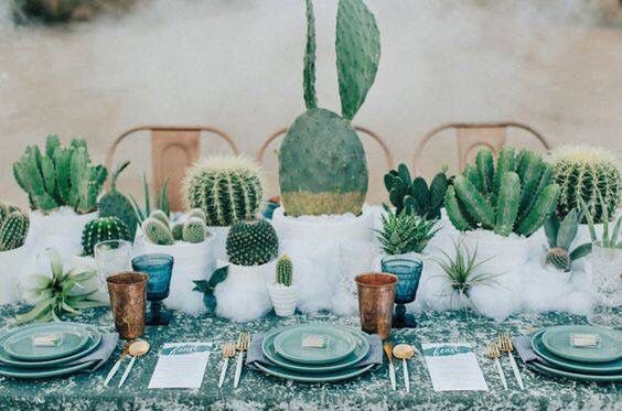 Centros de mesa y recuerdos con cactus y suculentas! - 3