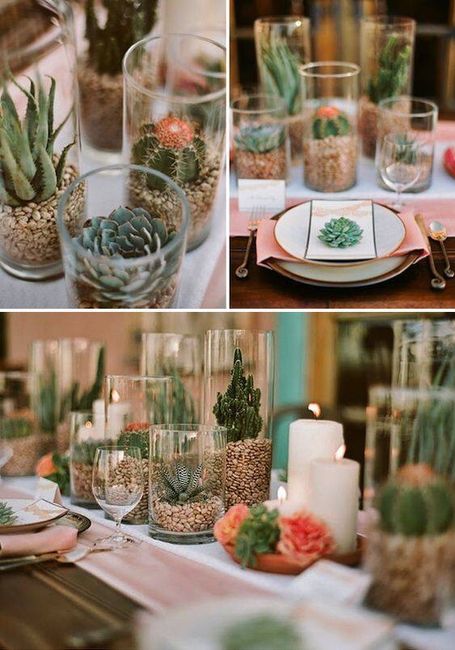 Centros de mesa y recuerdos con cactus y suculentas! - 10