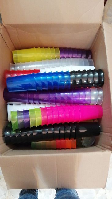 Me caso en 44 dias 5