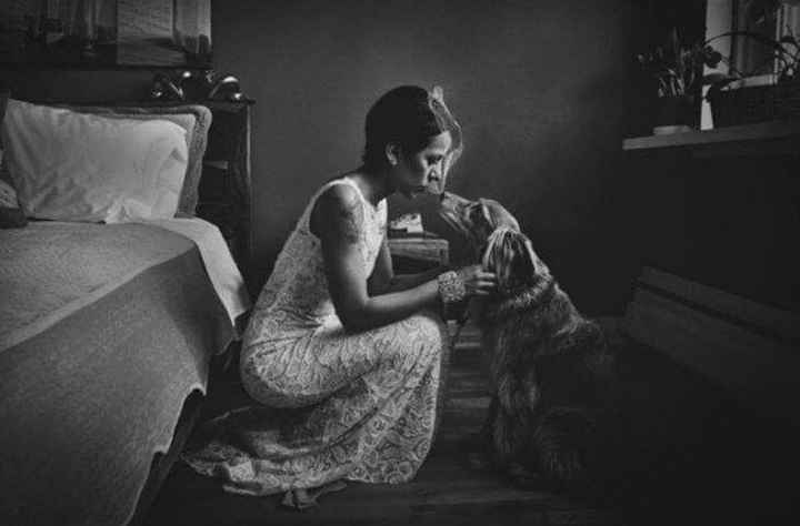 Mascotas en el día b - 3