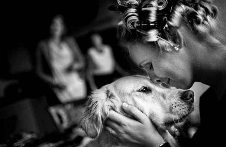 Mascotas en el día b - 7