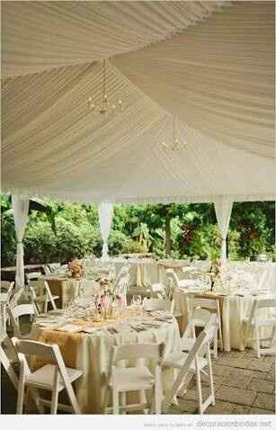 Arreglo de carpa - 1