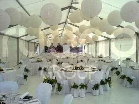 Arreglo de carpa - 15