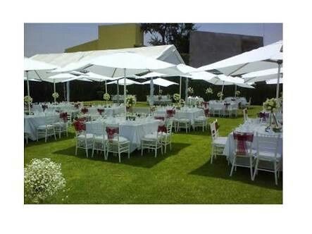 Arreglo de jardín - 8