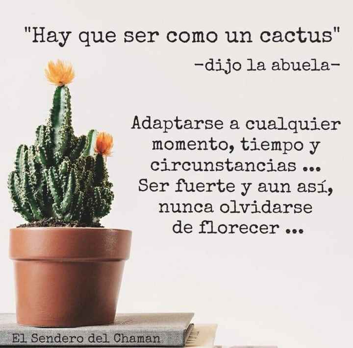¿A qué edad se casan las novias Mexicanas? - 1