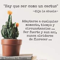 ¿A qué edad se casan las novias Mexicanas? - 1