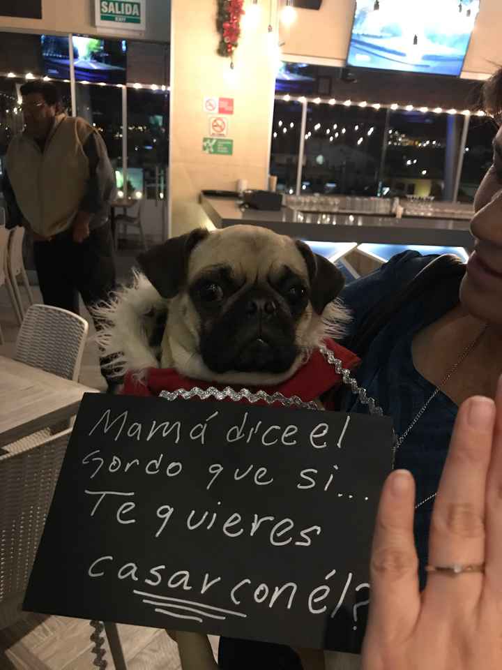 Mi sorpresa romántica Dolce Reyes - 1