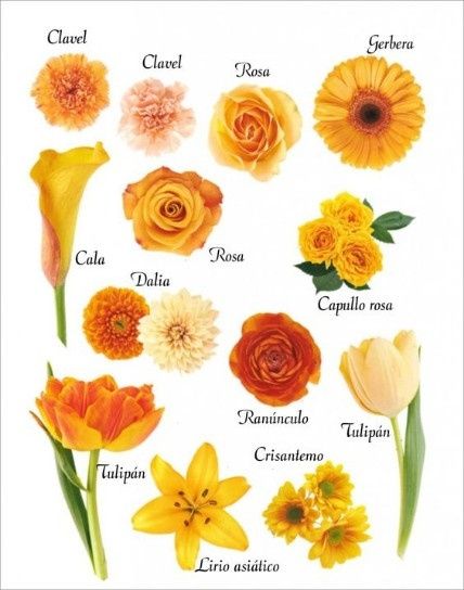 LAS FLORES