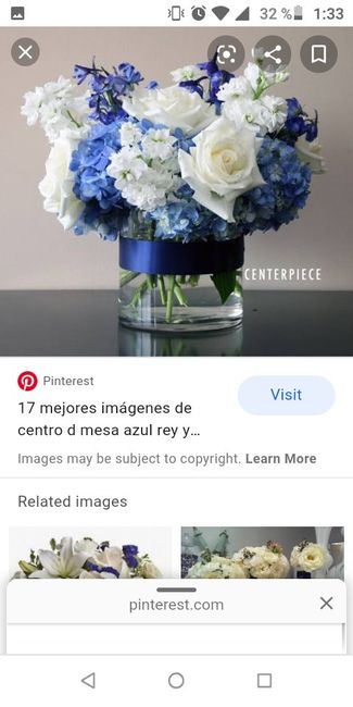 Hortencias en Monterrey? - 1