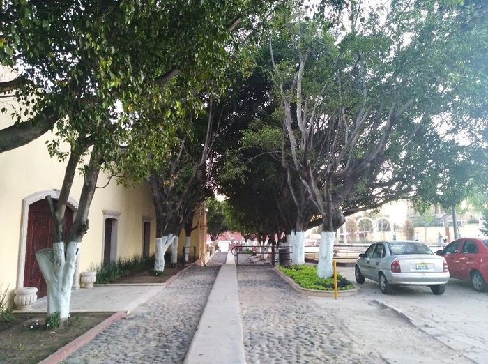 Salones para Julio en Guadalajara - 5