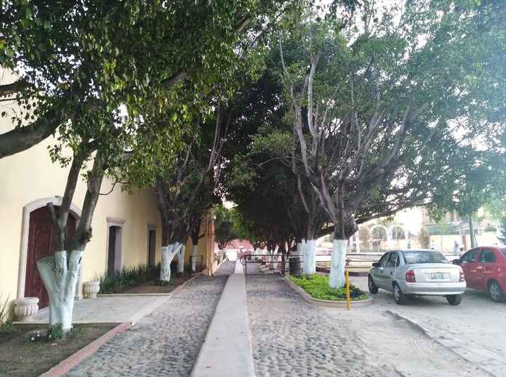 Salones para Julio en Guadalajara - 5