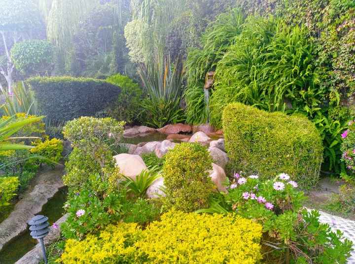 Salones para Julio en Guadalajara - 2