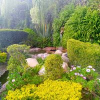 Salones para Julio en Guadalajara - 2