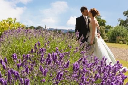 Bodas lilas (lavanda)
